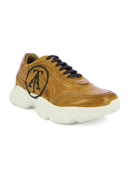 alberto torresi sports shoes