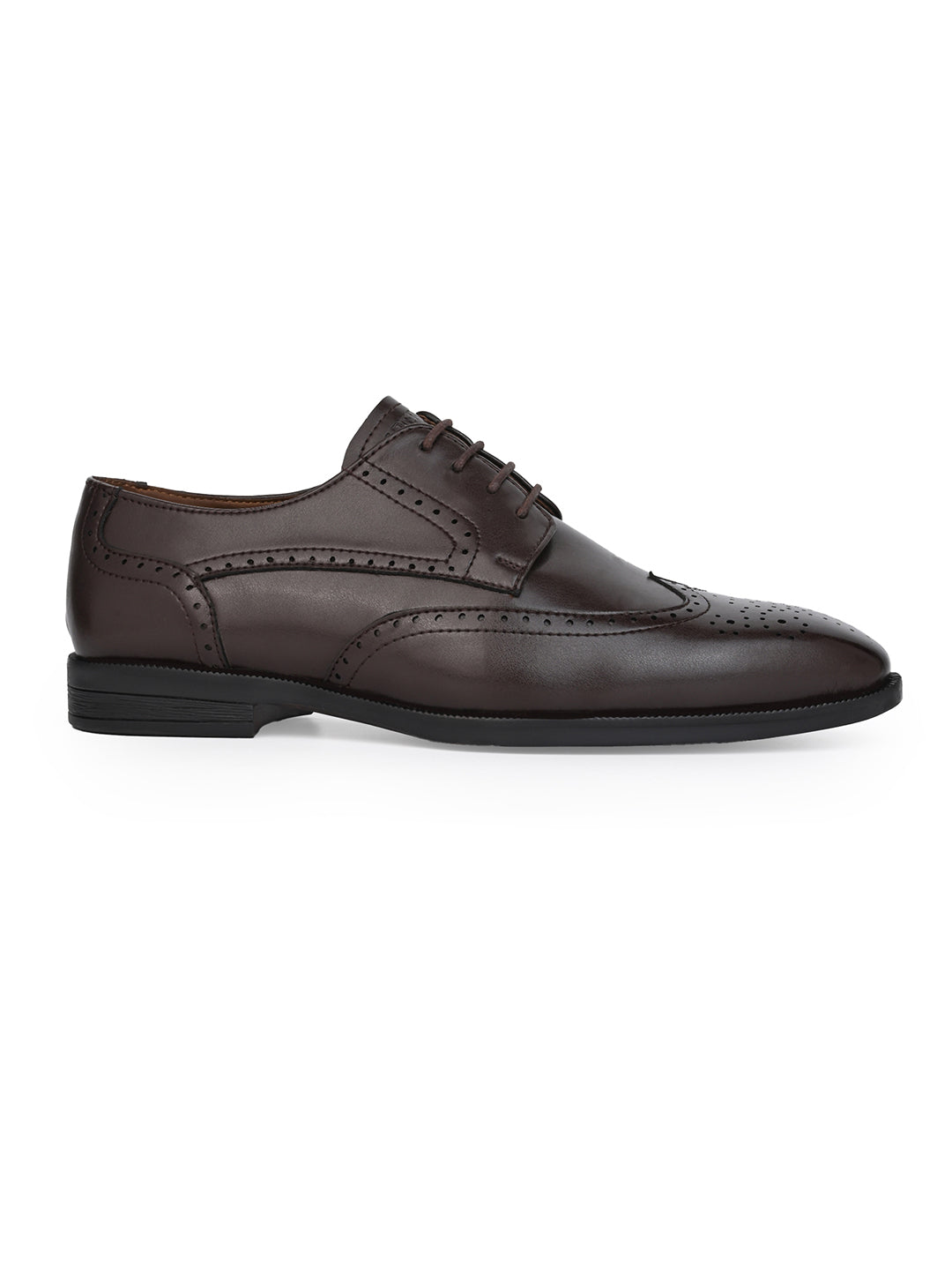 Alberto Torresi Brown formal Brogue Shoes