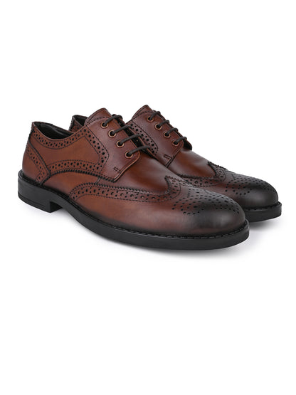Alberto Torresi Genuine Leather Brown Formal Brogue shoes