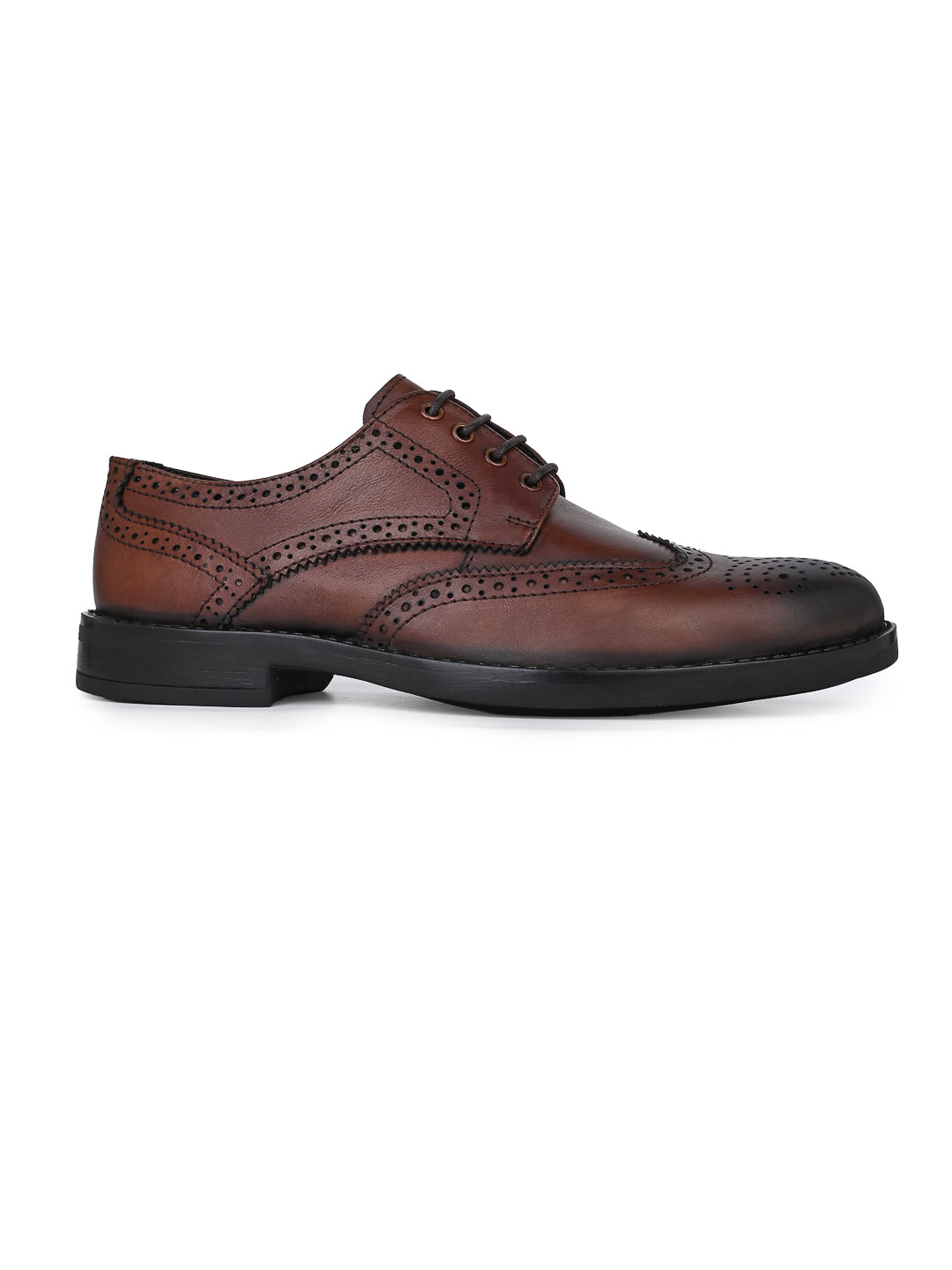 Alberto Torresi Genuine Leather Brown Formal Brogue shoes